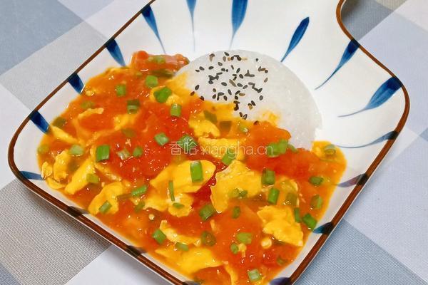 番茄炒蛋盖饭的做法图解13