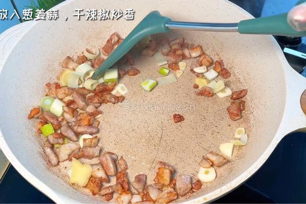 腐竹卤肉饭的做法图解3