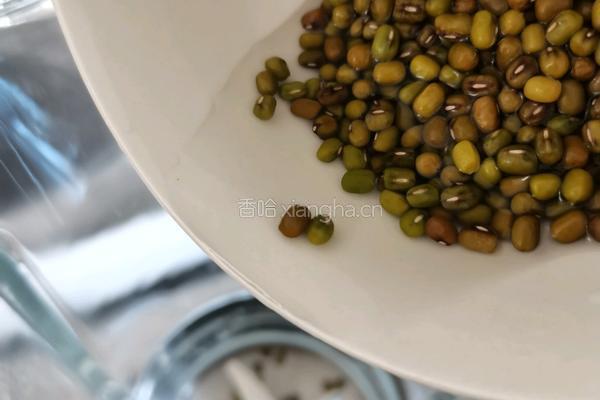 浓绿豆汤的做法图解3