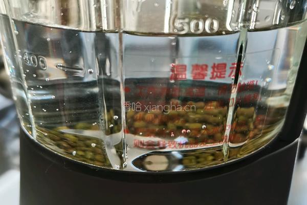 浓绿豆汤的做法图解5