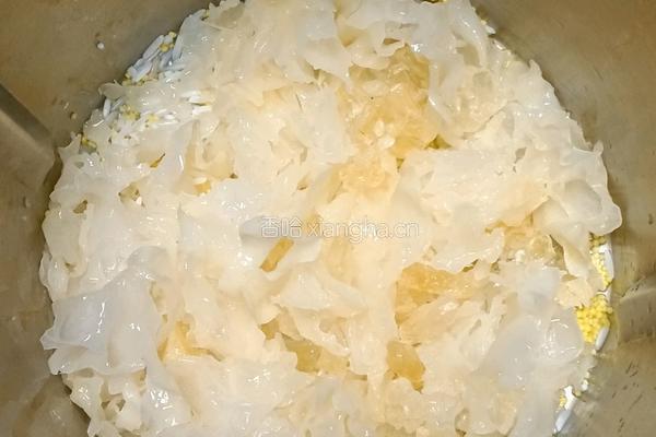 银耳雪梨双米糊的做法图解5