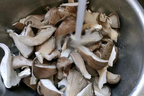酥炸平菇的做法图解2