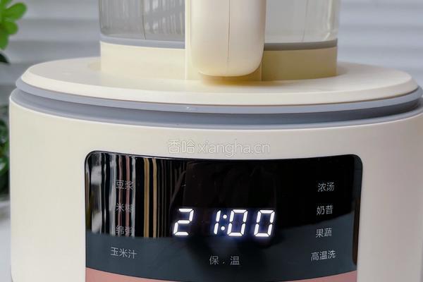 国宴豆浆的做法图解3