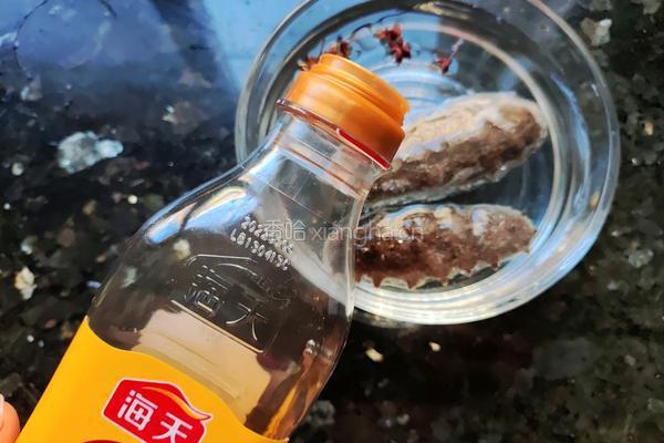 海参鸡蛋羹的做法图解2