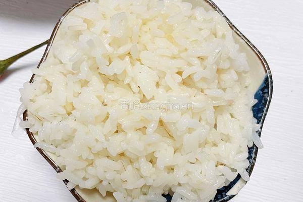 黑椒茄子盖饭的做法图解12