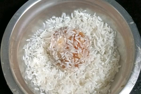 大米鹌鹑蛋蒸肉丸的做法图解6