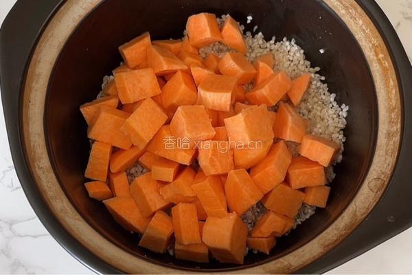 奶香红薯粥的做法图解4