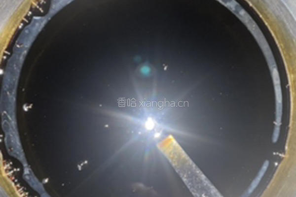 腌脆黄瓜的做法图解11