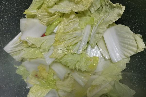 酸辣白菜 娃娃菜的做法图解4