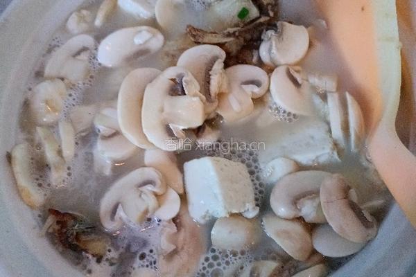 砂锅鲫鱼蘑菇豆腐汤的做法图解8