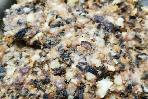 干菜肉饼的做法图解2