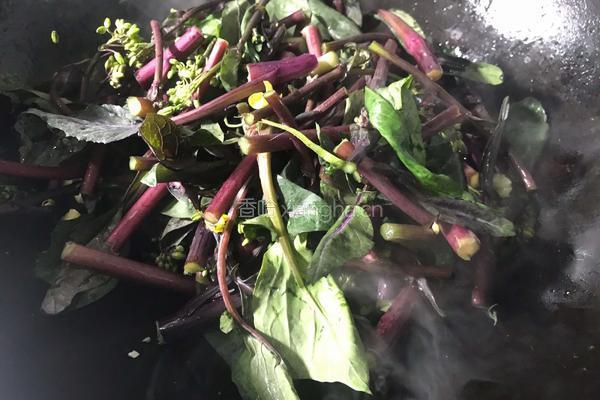 醋溜洪山菜苔的做法图解5