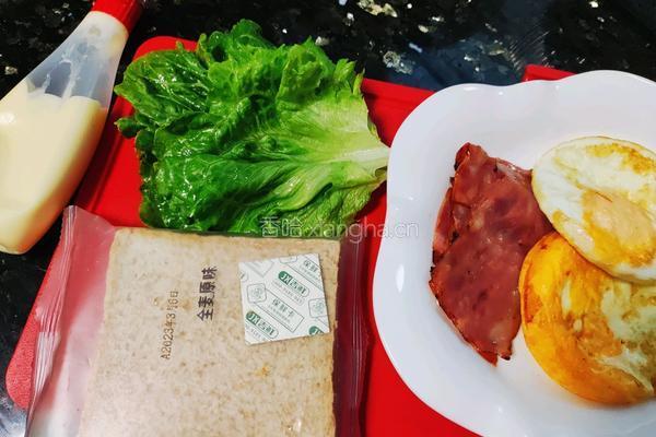 快手全麦三明治的做法图解3