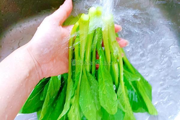 白灼菜心的做法图解1