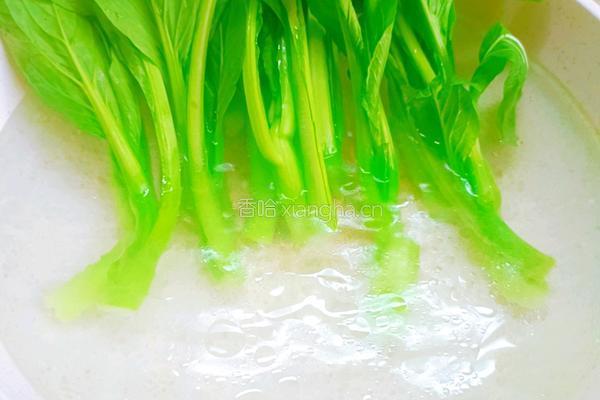 白灼菜心的做法图解2