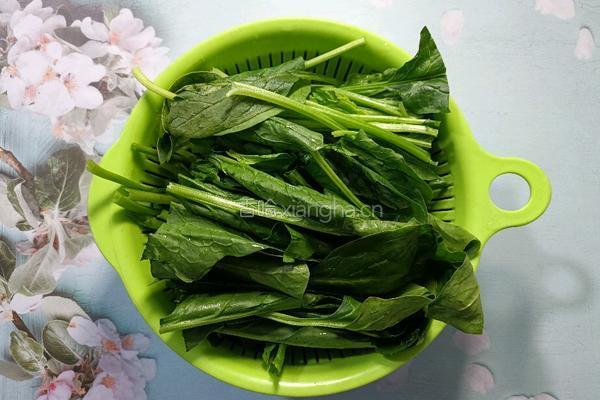 酱焖菠菜的做法图解4