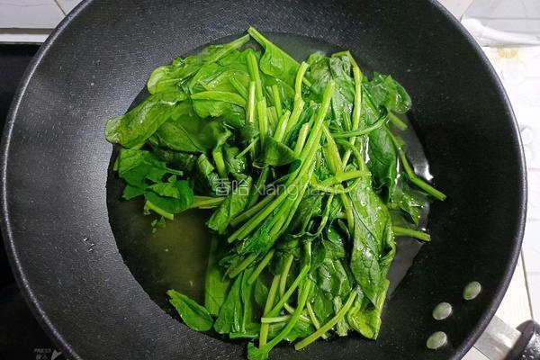 酱焖菠菜的做法图解8