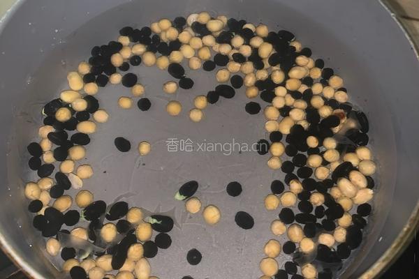 黑豆豆浆的做法图解1