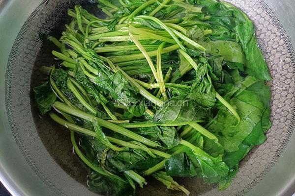 菠菜饼的做法图解3