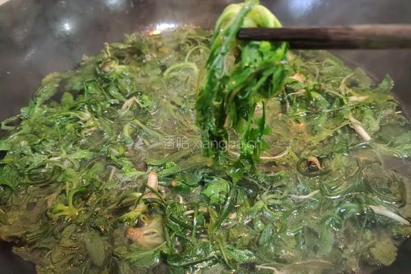 荠菜根蛋花汤的做法图解5