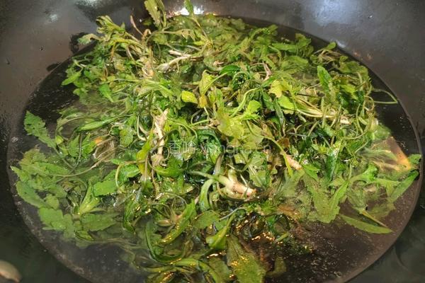 荠菜根蛋花汤的做法图解4