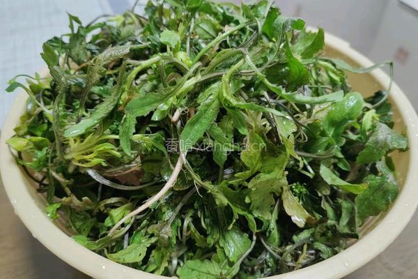 蒜泥蛋皮拌荠菜的做法图解4