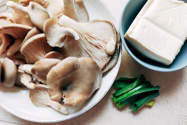 平菇豆腐汤的做法图解1
