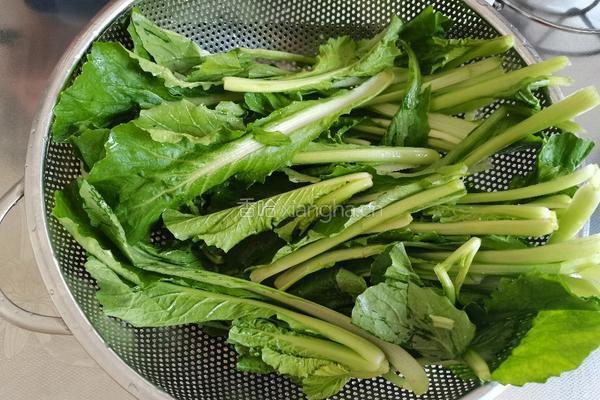 清炒小白菜的做法图解1