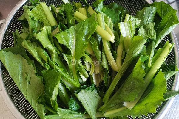 清炒小白菜的做法图解3