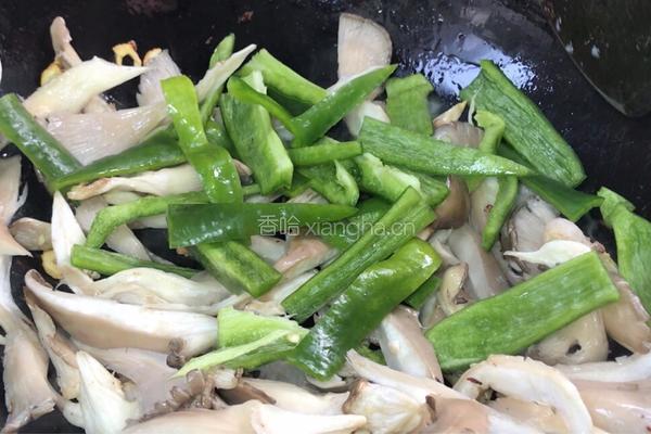 青椒炒平菇的做法图解7