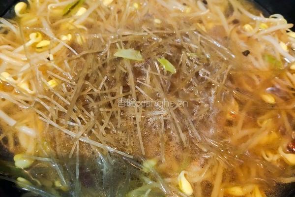 豆芽粉丝贴喝饼的做法图解17