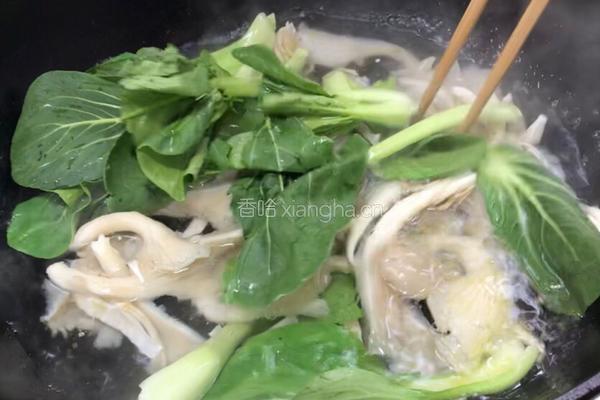 蚝油青菜平菇的做法图解4