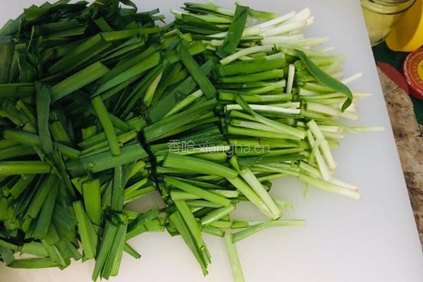 黄豆芽炒韭菜的做法图解1
