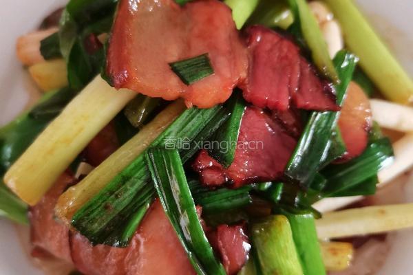 青蒜炒腊肉的做法图解7