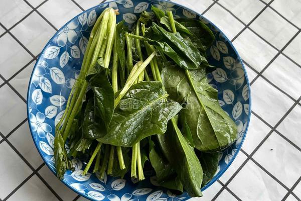 菠菜猪肉丸子汤的做法图解3