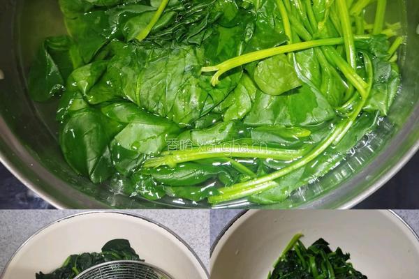 海米菠菜炒鸡蛋的做法图解1