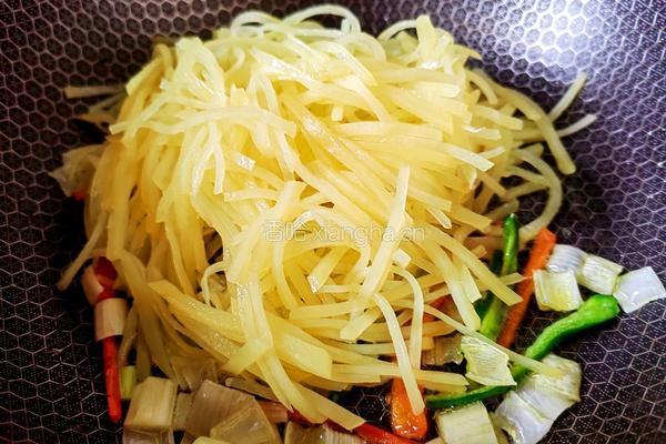 清炒土豆丝的做法图解5