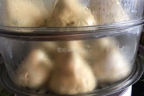 玉米面馒头的做法图解10