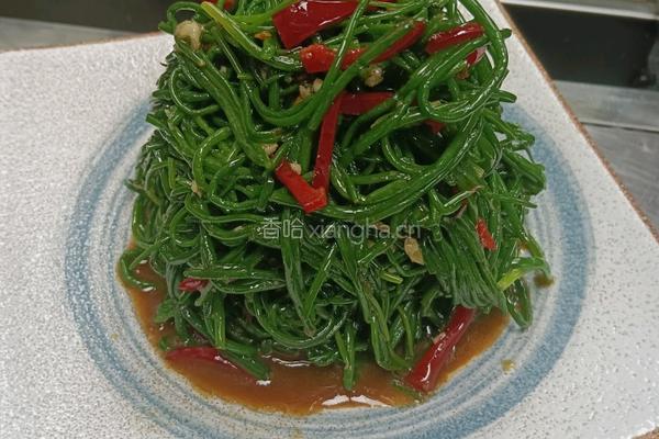 戈壁凉拌沙葱的做法图解4