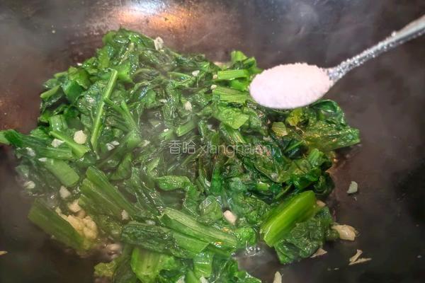 橄榄油炒莴苣叶的做法图解4