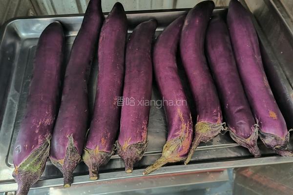 蒜蓉烤茄王的做法图解1