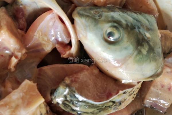 砂锅草鱼的做法图解2