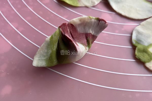 彩色饺子 的做法图解7