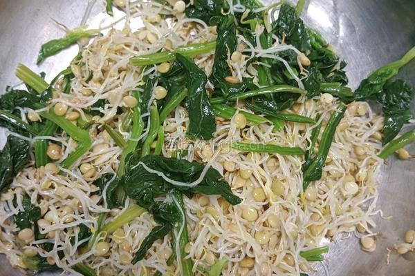 凉拌扁豆芽的做法图解1