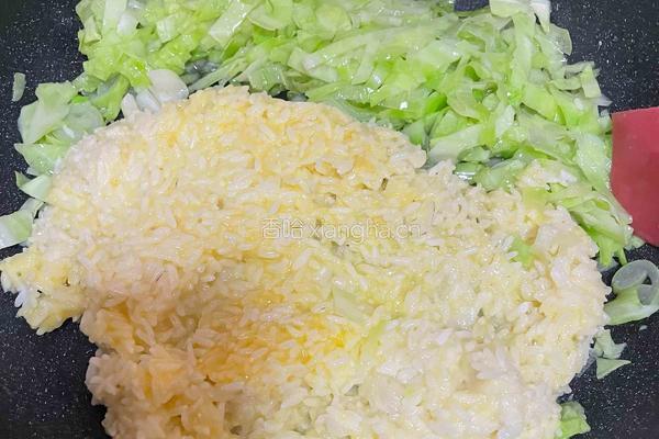 包菜蛋炒饭的做法图解8