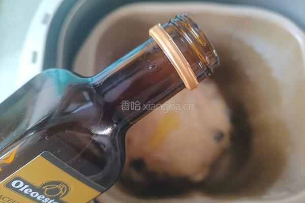 葡萄干花环面包（一次发酵）的做法图解5