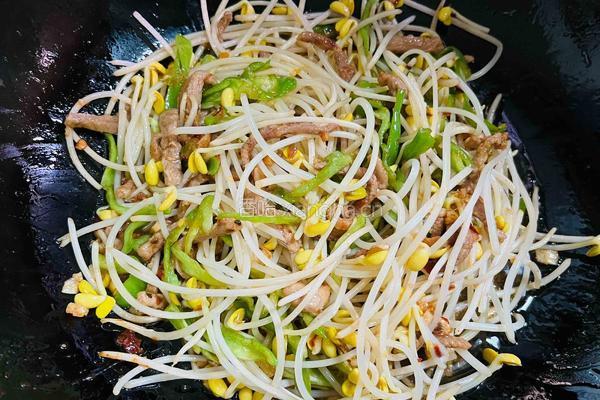 豆芽菜炒鸭肉的做法图解6