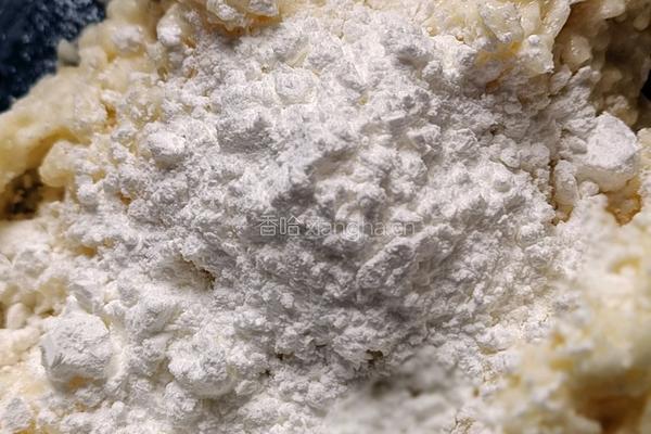 香煎毛薯饼的做法图解4