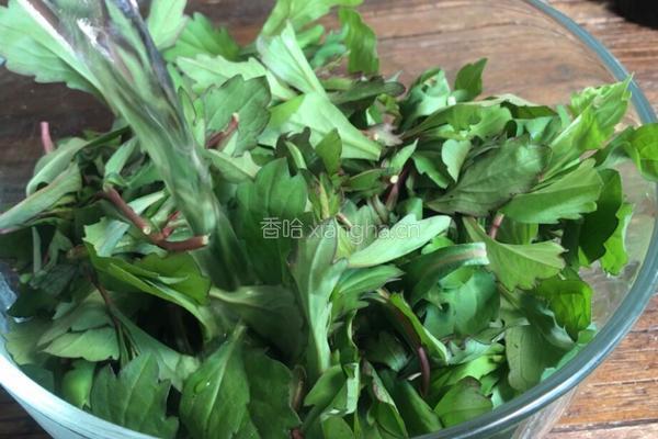 马兰头瘦肉汤的做法图解3