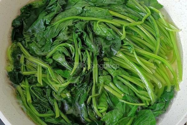 孜然菠菜的做法图解4
